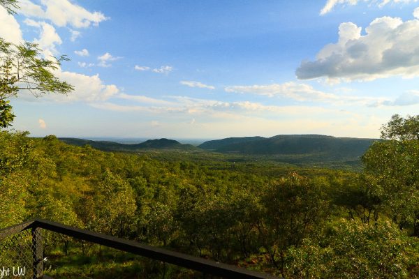 Serengeti017